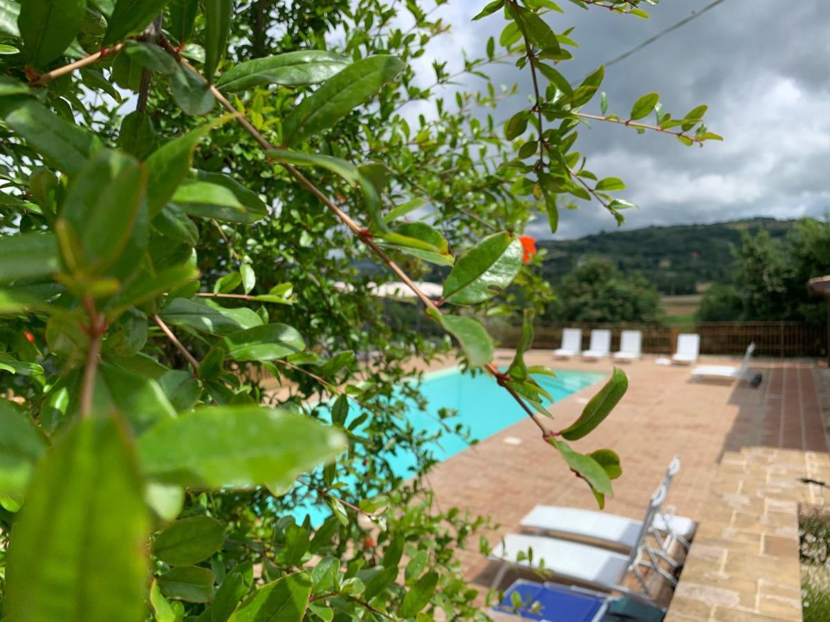 Agriturismo La Palazzetta Di Asyż Zewnętrze zdjęcie
