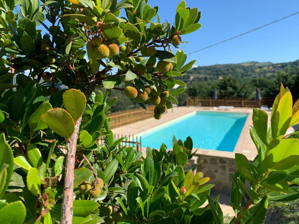 Agriturismo La Palazzetta Di Asyż Zewnętrze zdjęcie