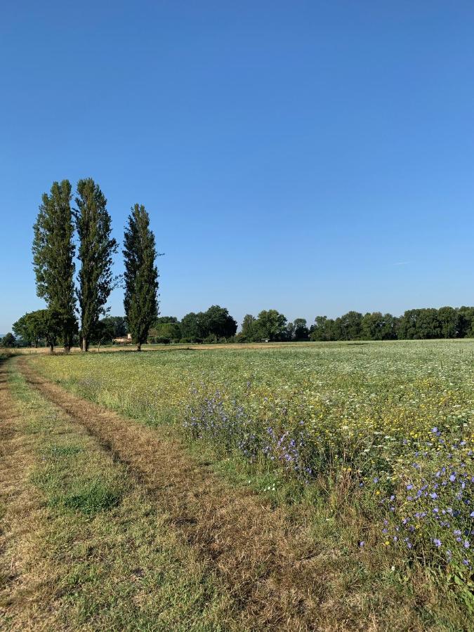 Agriturismo La Palazzetta Di Asyż Zewnętrze zdjęcie