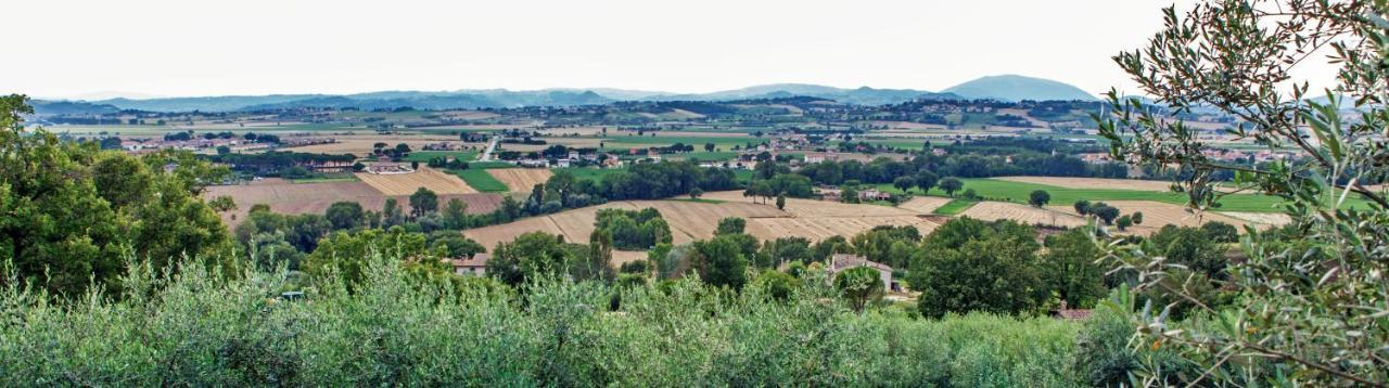 Agriturismo La Palazzetta Di Asyż Zewnętrze zdjęcie
