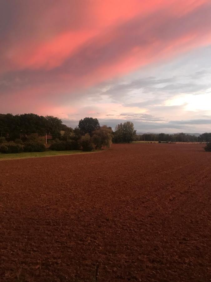 Agriturismo La Palazzetta Di Asyż Zewnętrze zdjęcie